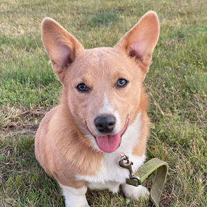 Meet your Posher, Brooke